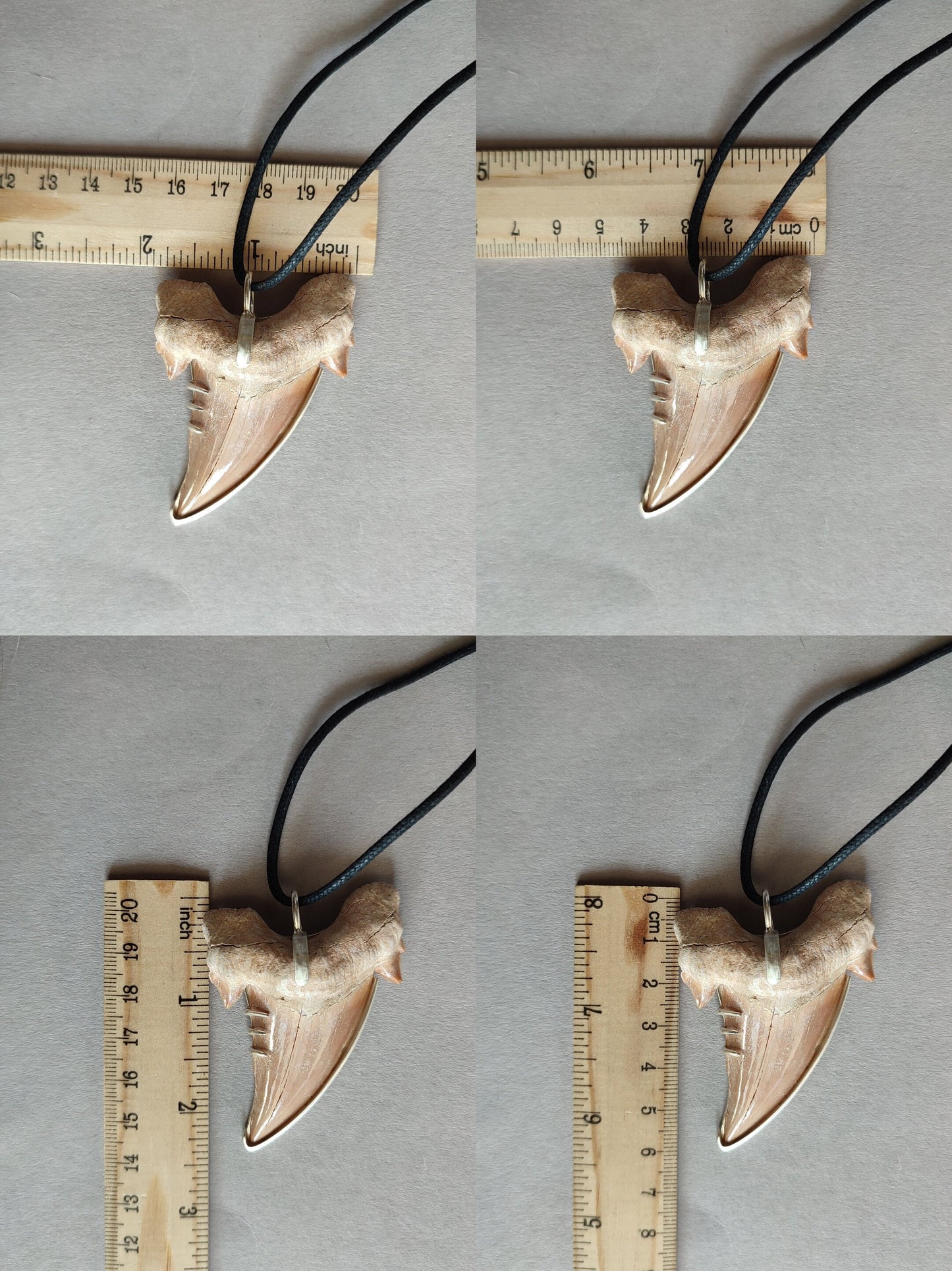 Eocene Era Tooth - Dinosaur pendant