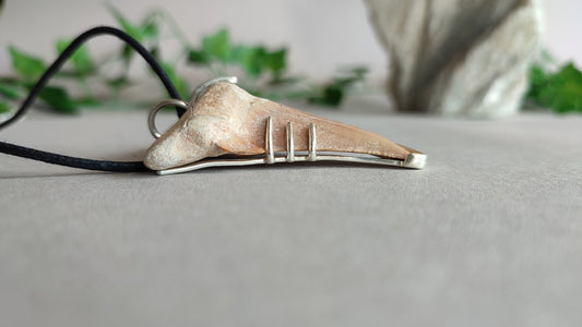 Eocene Era Tooth  - Dinosaur pendant